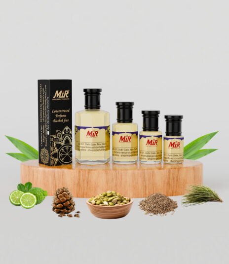 Ysl la nuit d lhomme