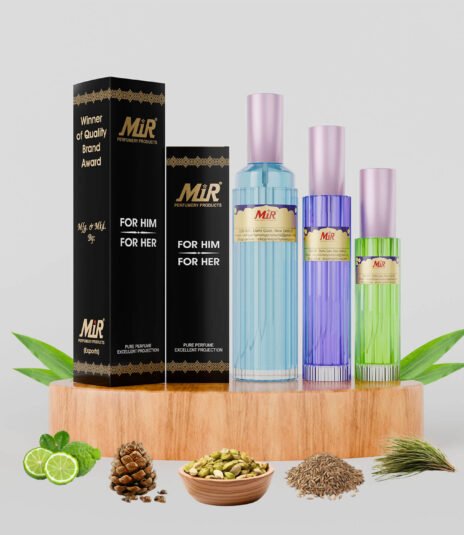 Ysl la nuit d lhomme