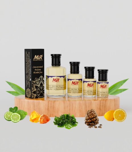 Megamare orto Parisi